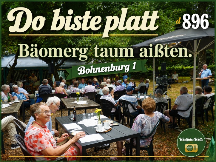 Do biste platt 896